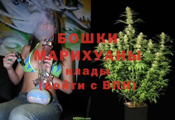 СК Волоколамск
