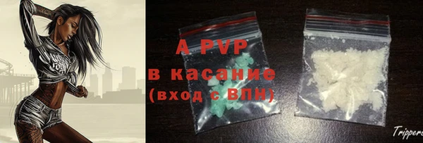 СК Волоколамск