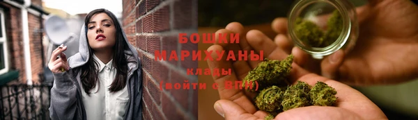 СК Волоколамск
