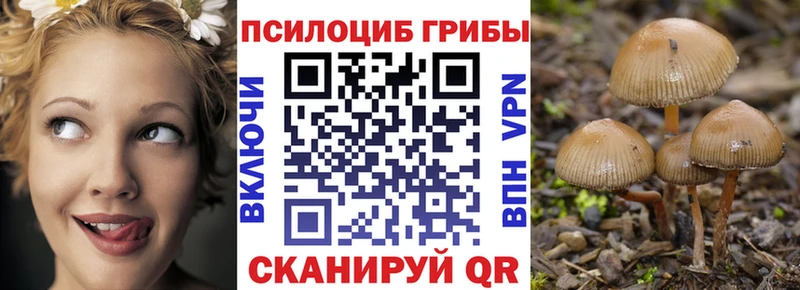 гидра как зайти  Канаш  Галлюциногенные грибы Psilocybine cubensis  наркота 